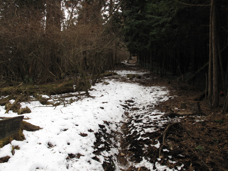 20160121hike (142)